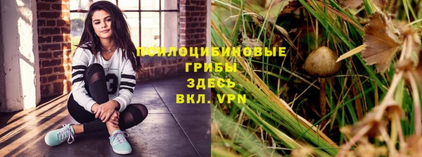 Альфа ПВП Арсеньев
