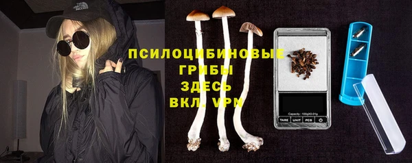 прущие крисы Аркадак